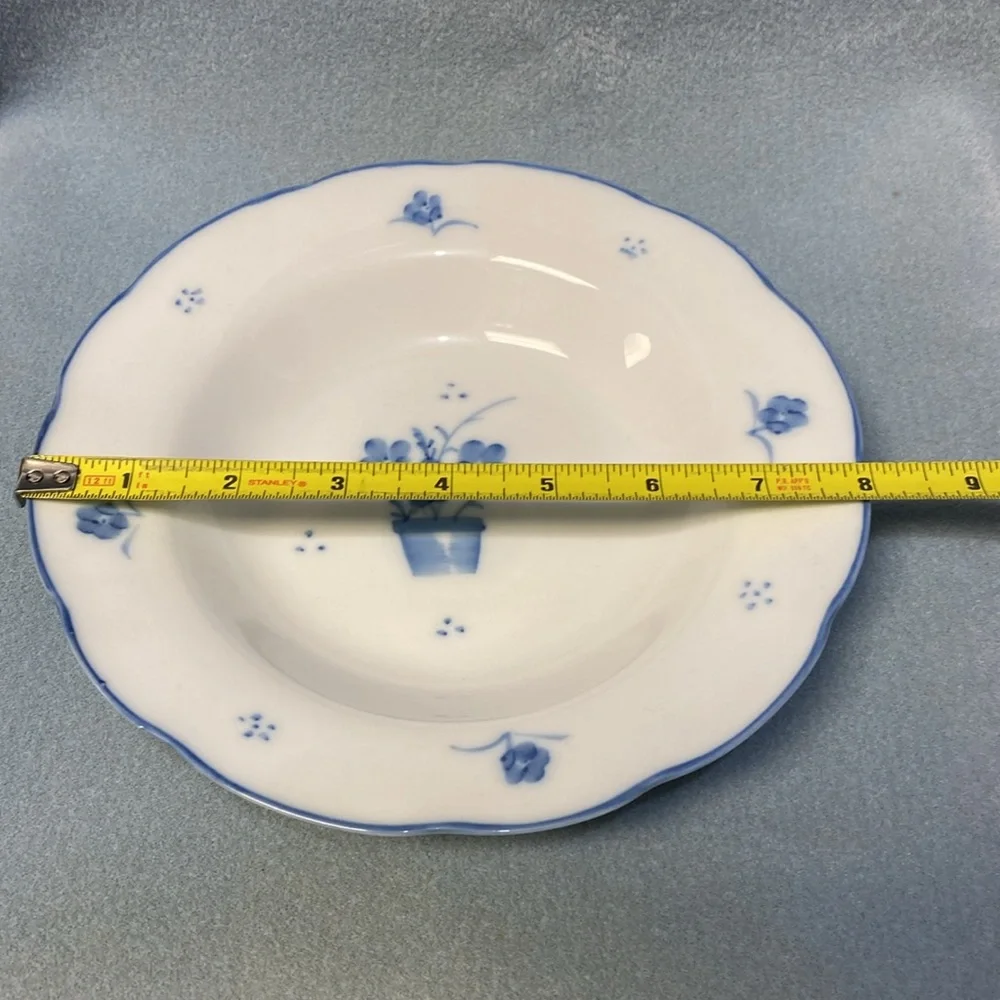STEELE HAND PAINTED PORCELAIN DE CHINE SOUP BOWL